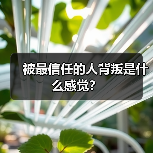 被最信任的人背叛是什么感觉?(图4) 被最信任的人背叛是什么感觉?(图4)