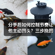 分手后如何控制节奏让他主动回头？三步挽回技巧(图3)