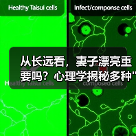 从长远看，妻子漂亮重要吗？心理学揭秘多种漂亮定义(图4)