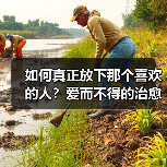 如何真正放下那个喜欢的人？爱而不得的治愈方法(图2)