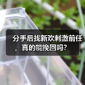分手后找新欢刺激前任，真的能挽回吗？(图3)