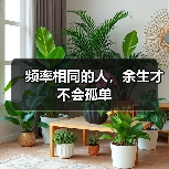 频率相同的人，余生才不会孤单(图3)