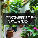 情感受伤后两性关系该怎样正确处理？(图4)