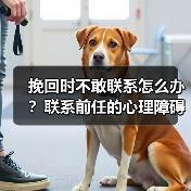 挽回时不敢联系怎么办？联系前任的心理障碍如何破解？(图3)