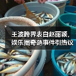王波跨界表白赵丽颖，娱乐圈奇葩事件引热议