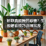 断联真能挽回感情?生搬硬套技巧适得其反(图4) 断联真能挽回感情?生搬硬套技巧适得其反(图4)