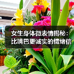 女生身体微表情揭秘:比嘴巴更诚实的情绪信号(图2) 女生身体微表情揭秘:比嘴巴更诚实的情绪信号(图2)
