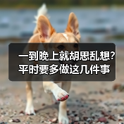 一到晚上就胡思乱想？平时要多做这几件事(图3)