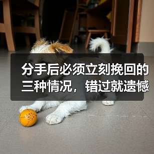 分手后必须立刻挽回的三种情况，错过就遗憾！(图2)