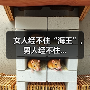 女人经不住“海王”,男人经不住...(图4) 女人经不住“海王”,男人经不住...(图4)