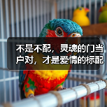 不是不配，灵魂的门当户对，才是爱情的标配
