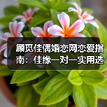 顾觅佳偶婚恋网恋爱指南:佳缘一对一实用选购与维护(图4) 顾觅佳偶婚恋网恋爱指南:佳缘一对一实用选购与维护(图4)